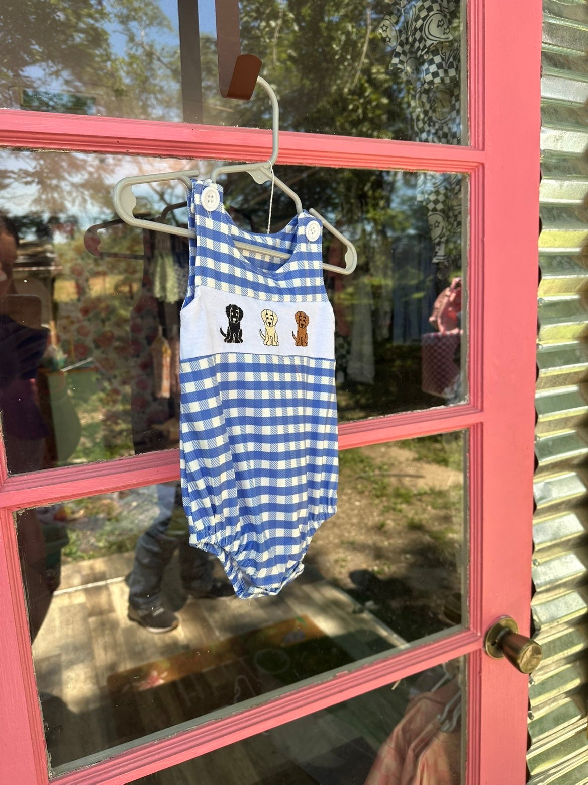 Blue Gingham Dog Bubble